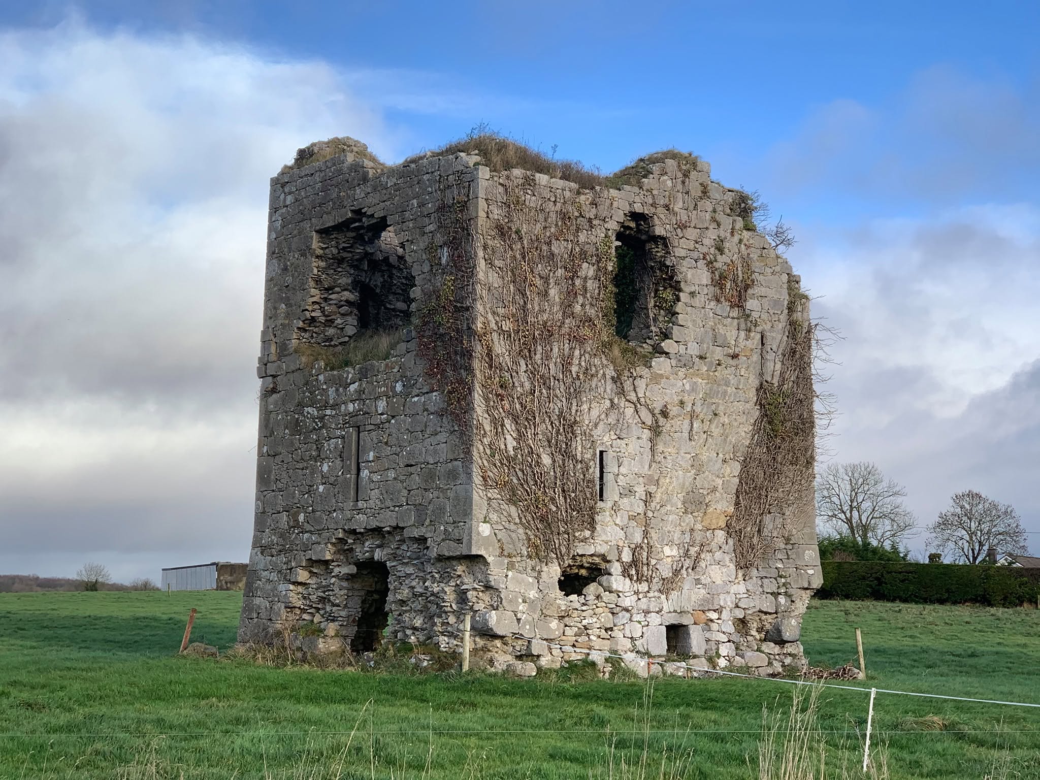 Rathnaseer Castle · Castle