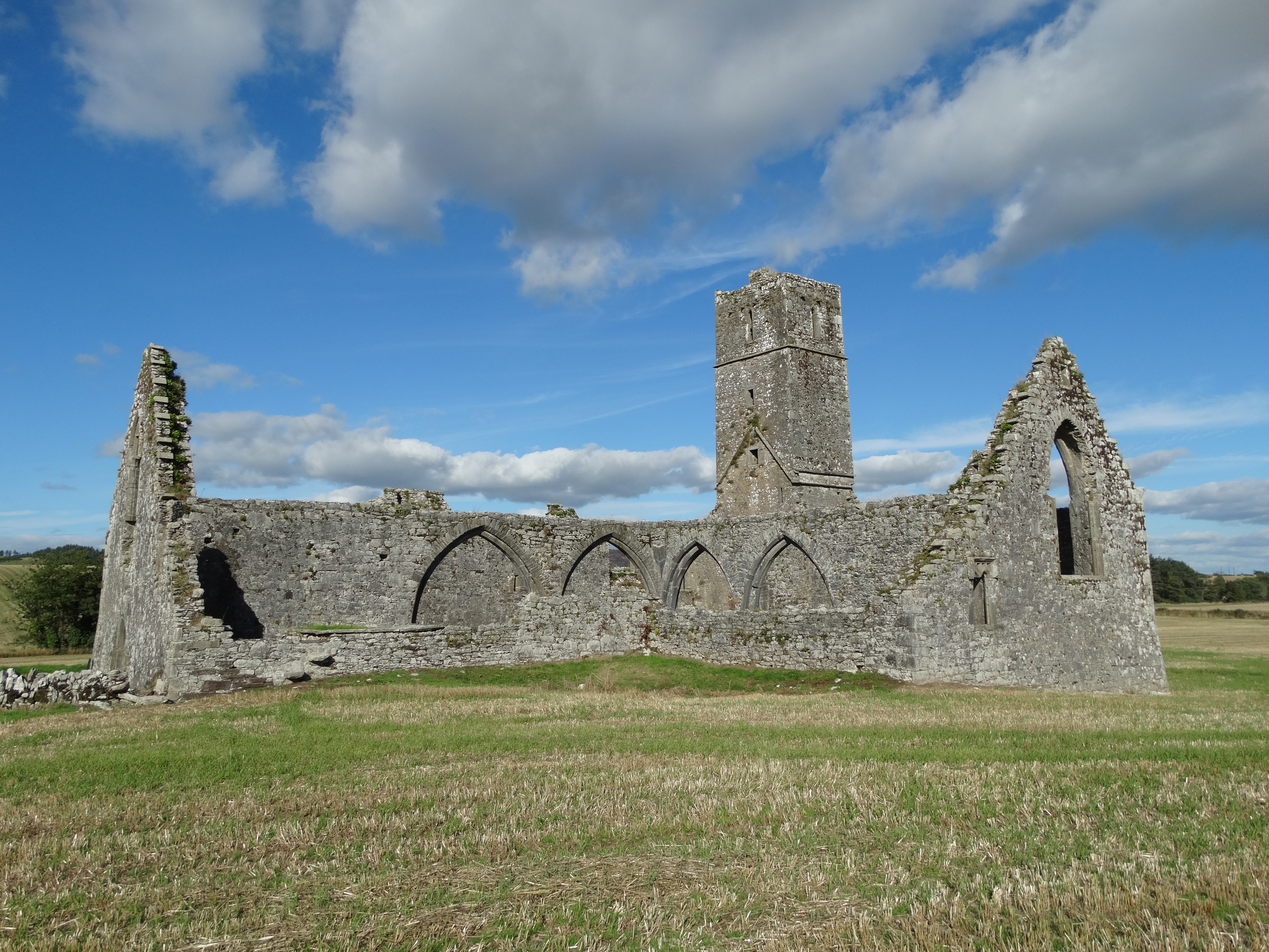 Kilcrea Friary · Abbey