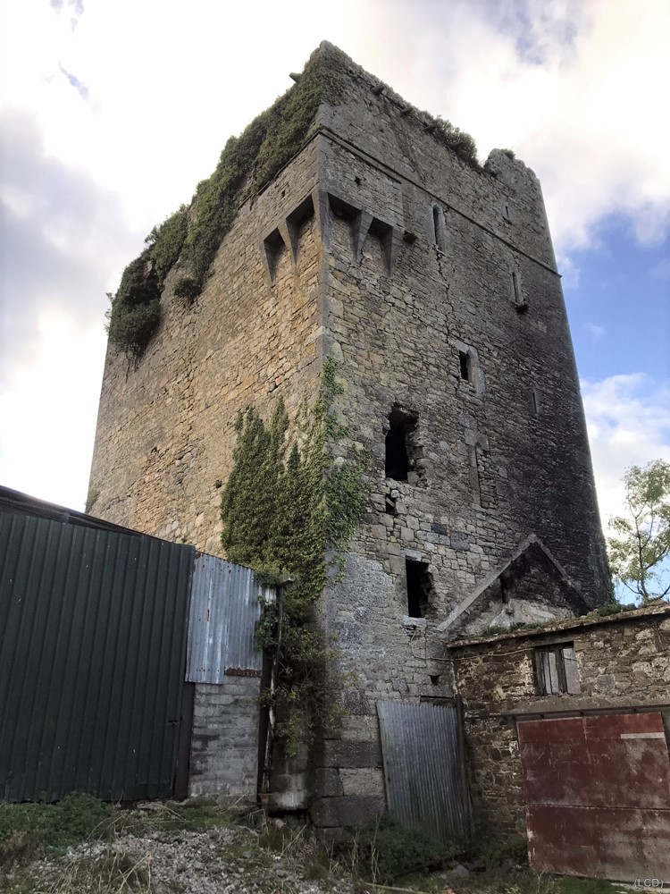 Ballyallinan Castle · Castle