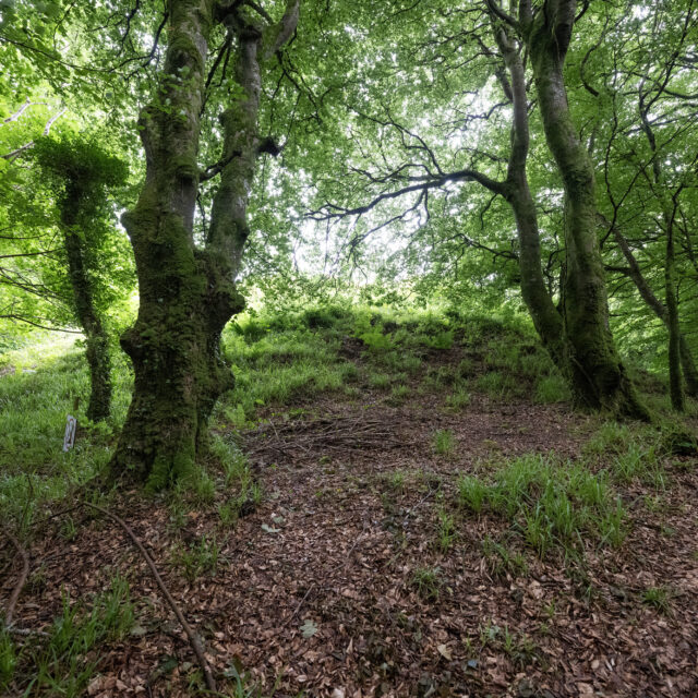 Carns Passage Tomb · Megalithic Tomb   Passage Tomb