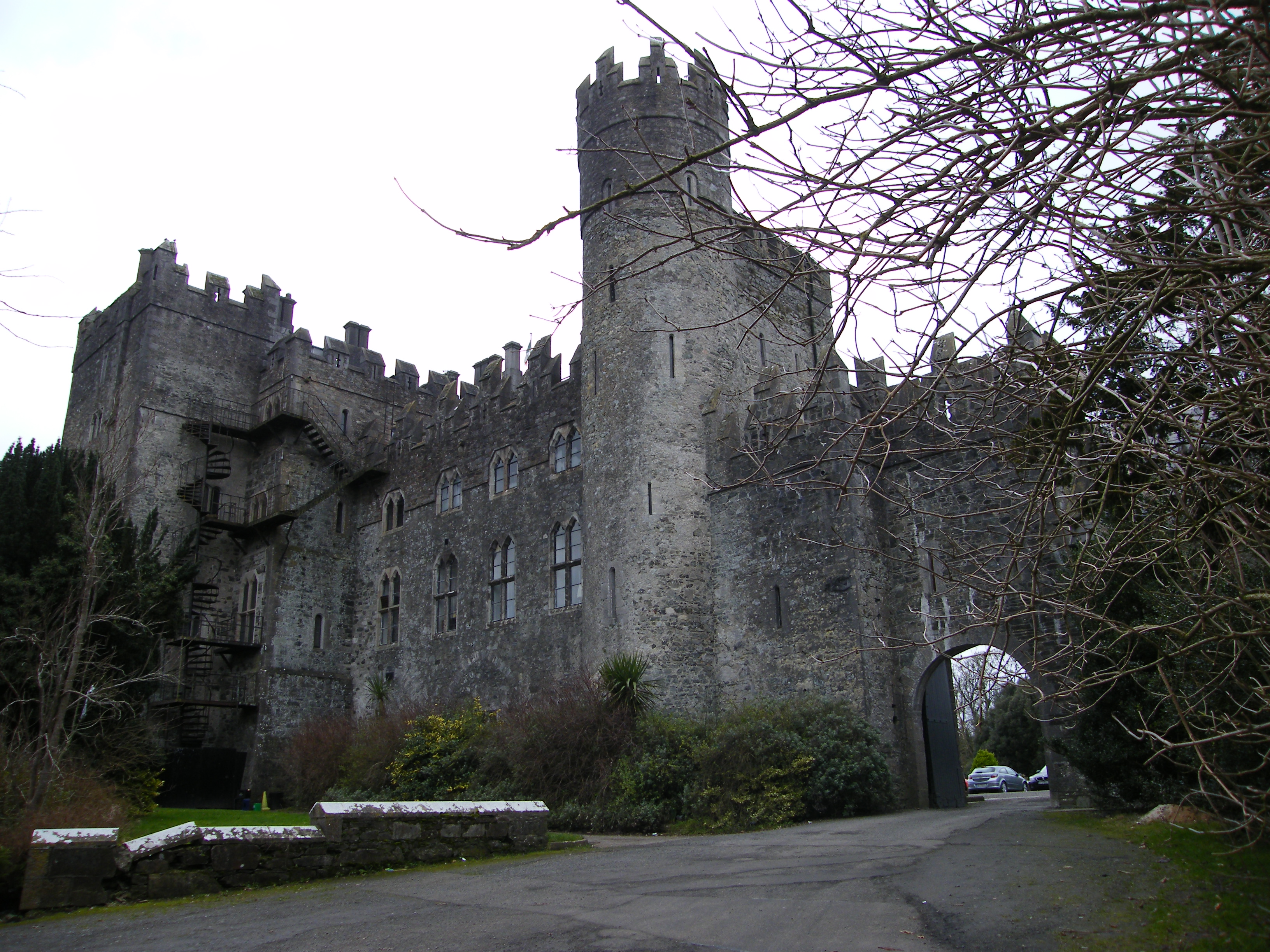 Kilkea Castle · Castle   Tower House
