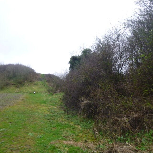 Knockgraffon Motte and Bailey · Castle   Motte