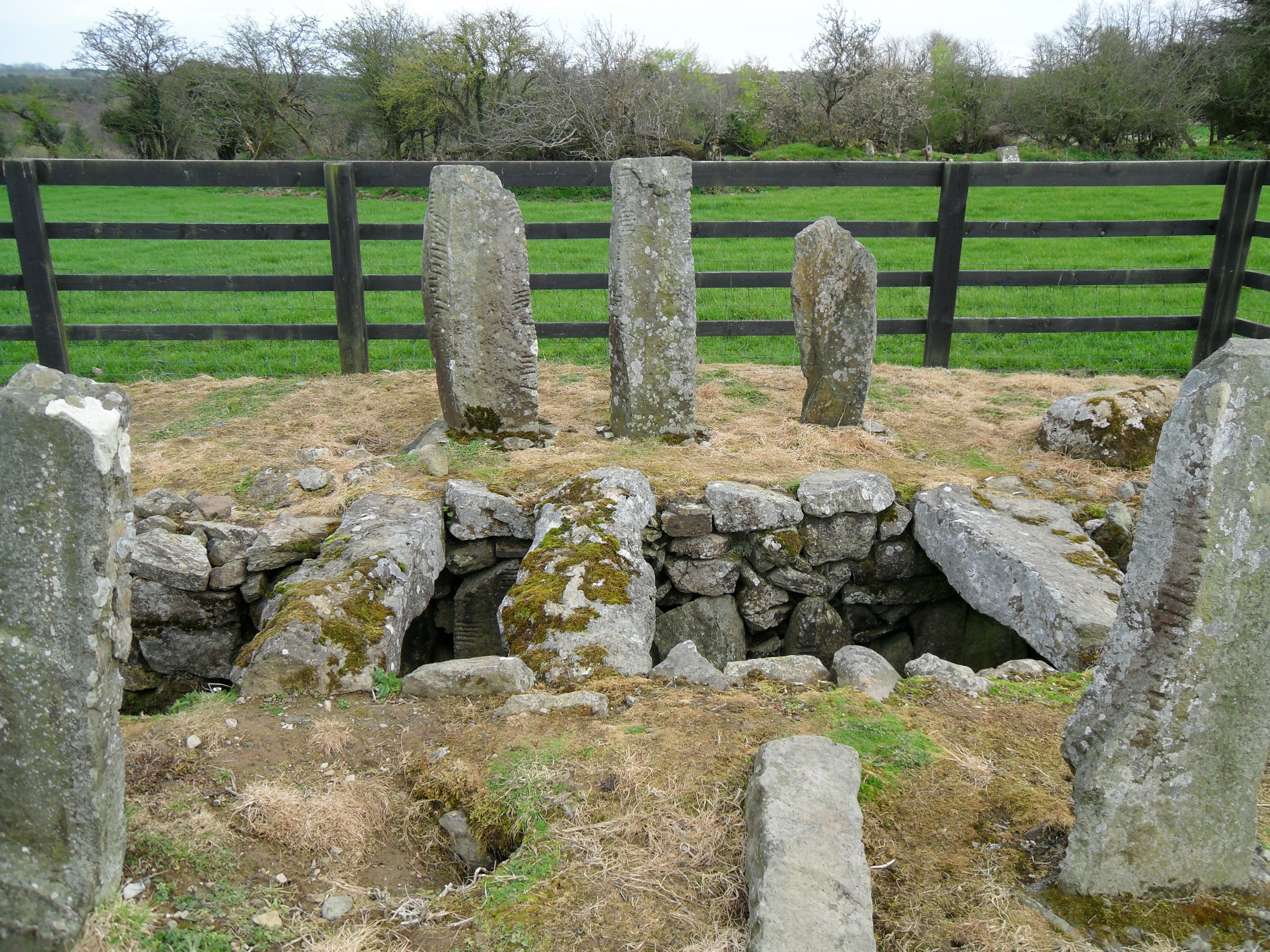 Drumlohan Ogham Stones · Ogham Stone