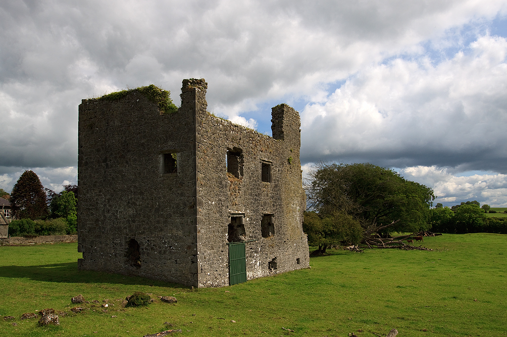 Tullomoy Castle · House   Fortified House