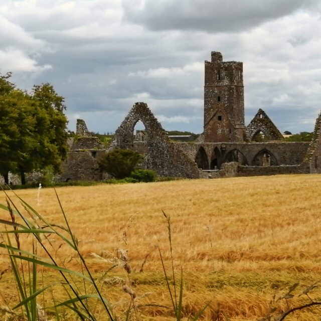 Kilcrea Franciscan Friary · Religious House