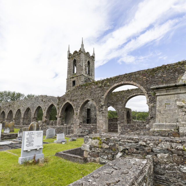 Baltinglass Cistercian Abbey · Religious House