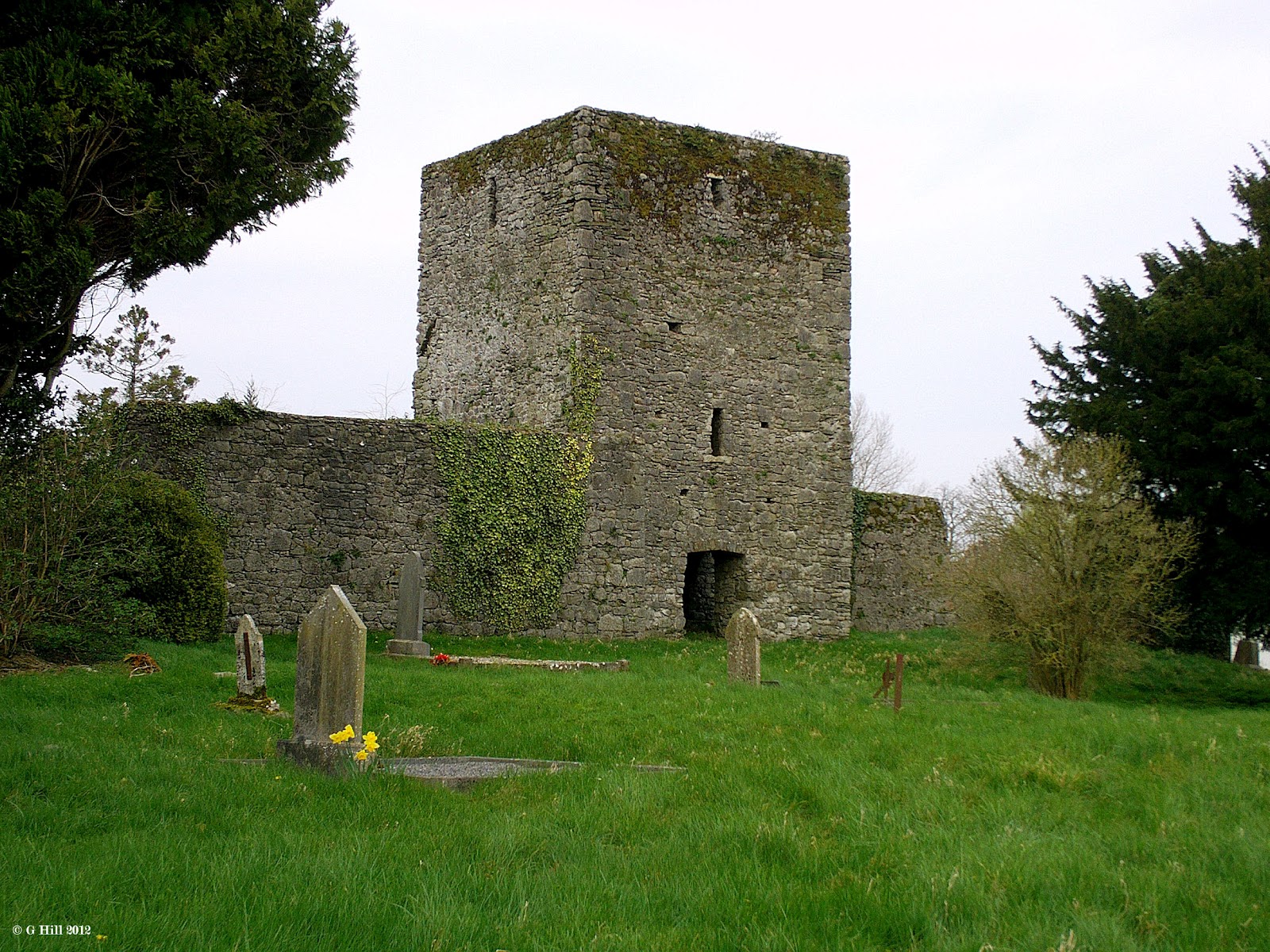The Black Abbey, Kildare · Ecclesiastical Site