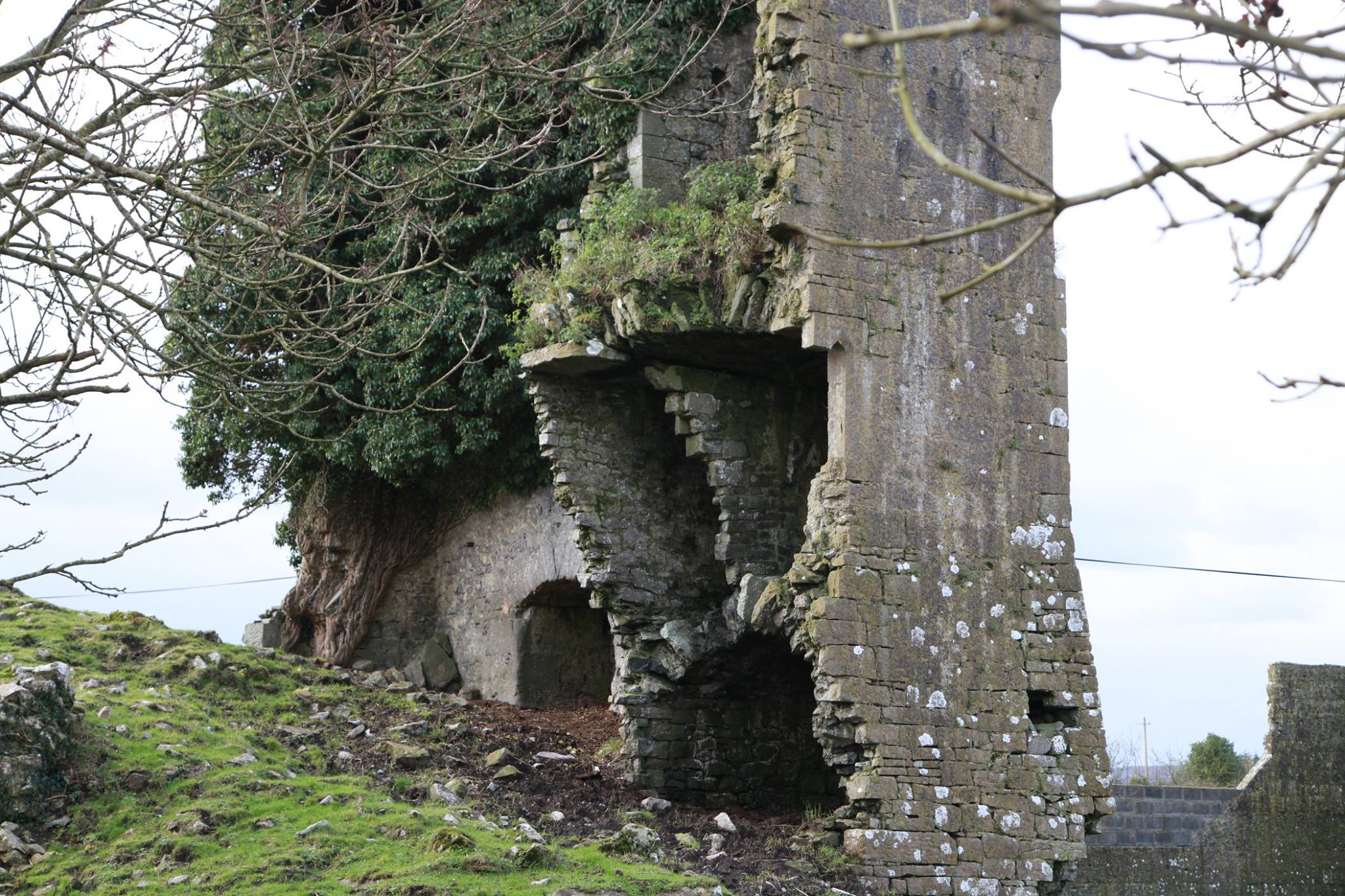 Tullokyne Castle · Castle