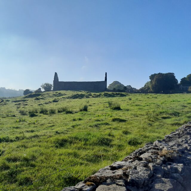 Fenagh Churches · Church