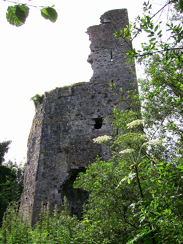 Castle Troy · Castle   Tower House