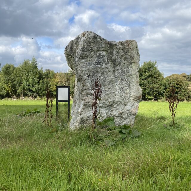 Glencullen Standing Stone · Standing Stone