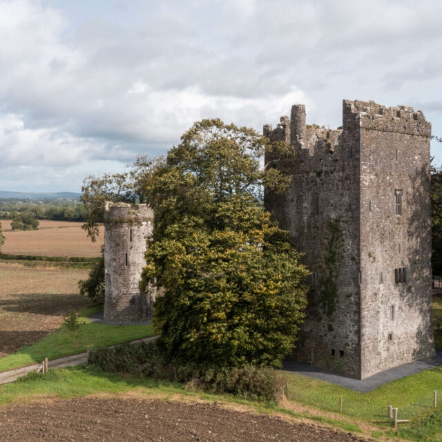 Burnchurch Castle and Turret · Castle