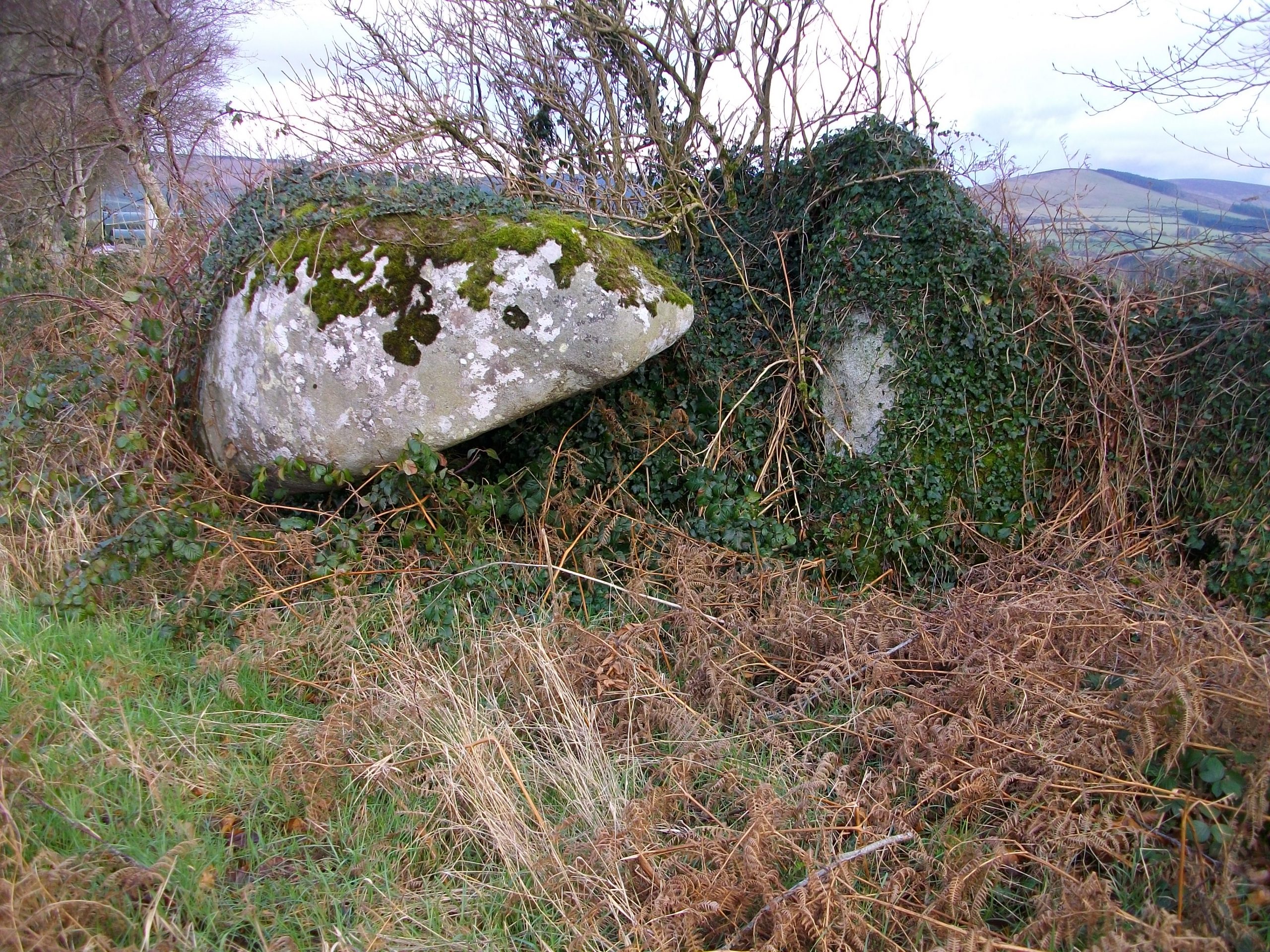 Broomfields Portal Tomb · Tomb