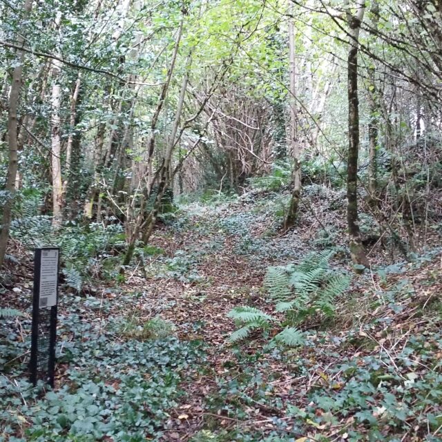 Lisnagowan Ringfort · Ringfort