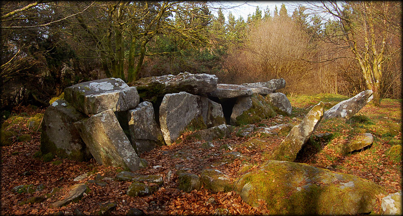 The Giant's Grave · Megalithic Tomb   Unclassified