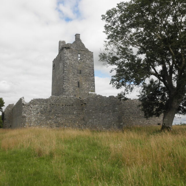 Fiddaun Castle · Castle