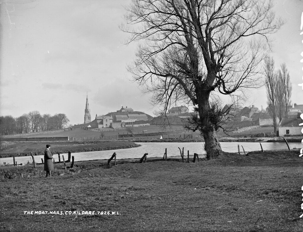 Naas Moat · Moated Site