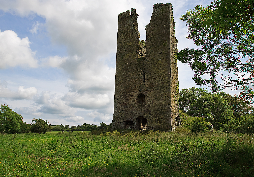 Clonea Castle · Castle