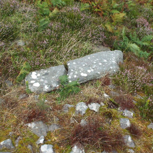Cathair na gCat Ogham Stone – Ballywiheen · Ogham Stone
