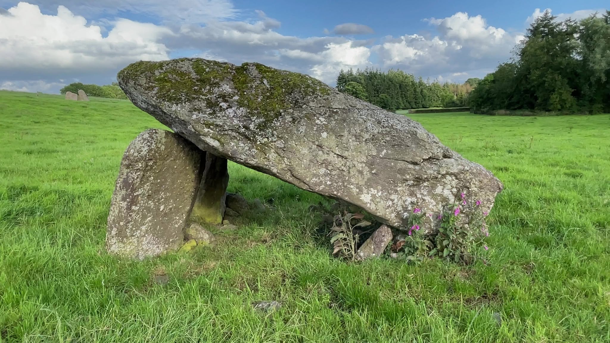 Ballyquin Portal Tomb · Tomb