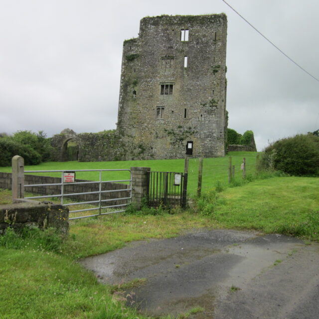 Grannagh (Granny) Castle · Castle