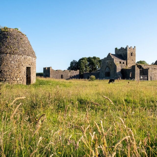Kilcooley Cistercian Abbey · Religious House