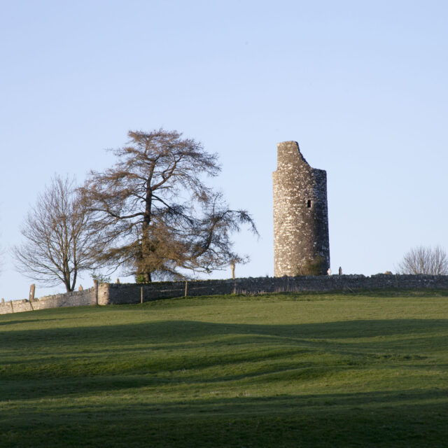 Old Kilcullen Monastery · Religious House