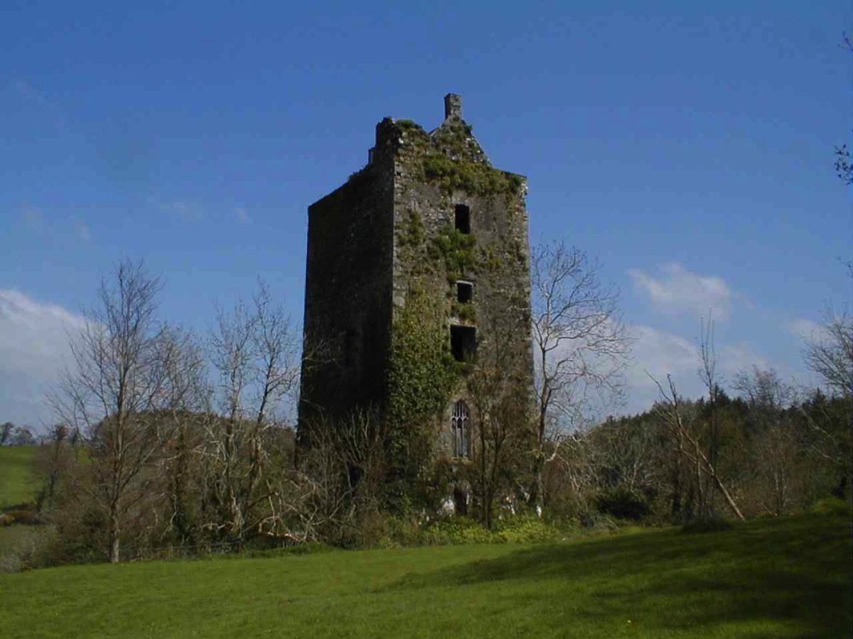 Carrignamuck Castle (Dripsey Castle) · Castle   Unclassified