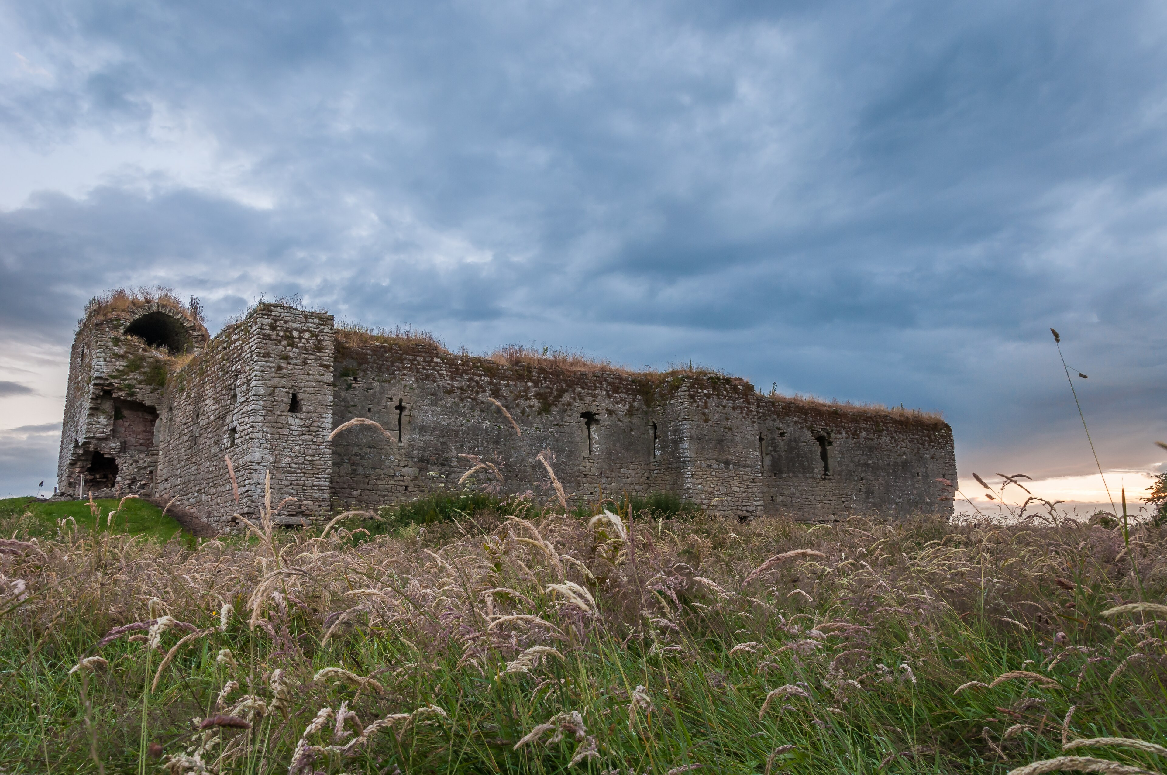 Ballymoon Castle · Castle