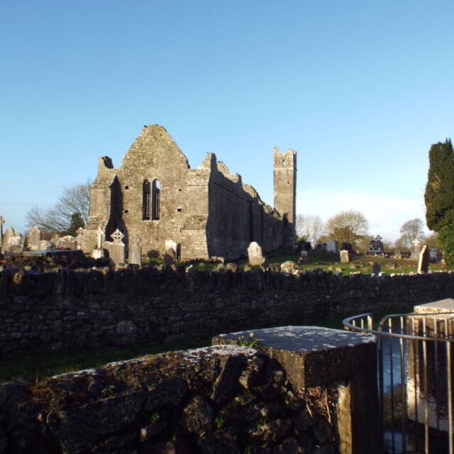Mungret Churches · Church