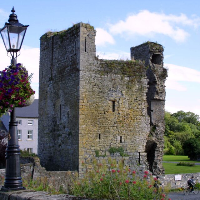 Leighlinbridge Castle · Castle