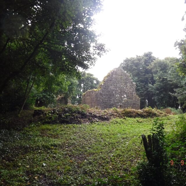 Inchmacnerin Augustinian Priory · Religious House