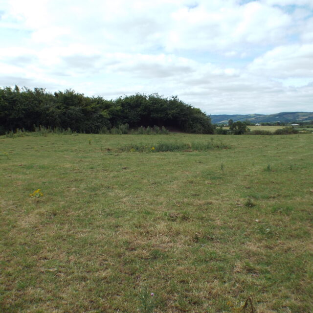 Ardagh Ringfort · Ringfort