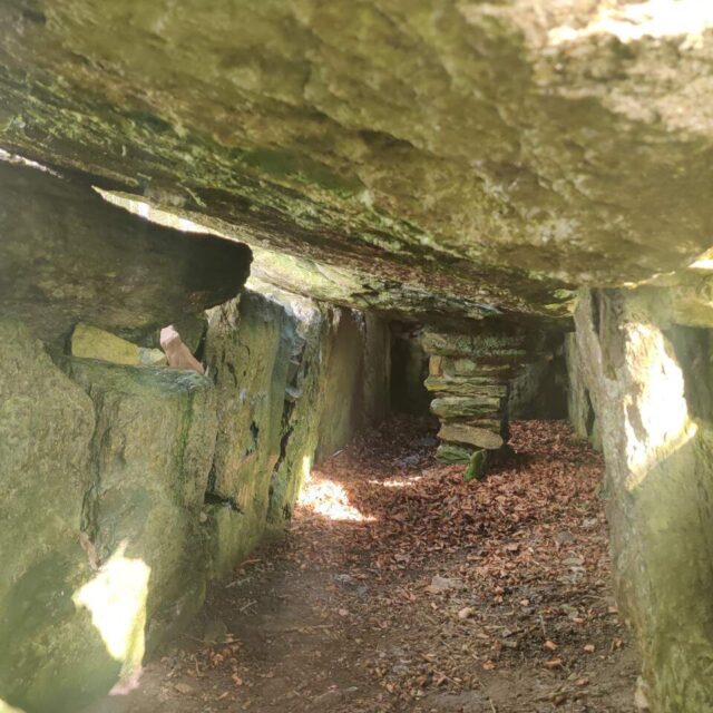 Labbacallee Wedge Tomb – Giants Grave · Megalithic Tomb   Wedge Tomb
