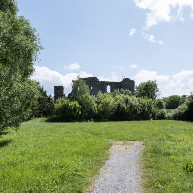 Kindlestown Castle · Castle