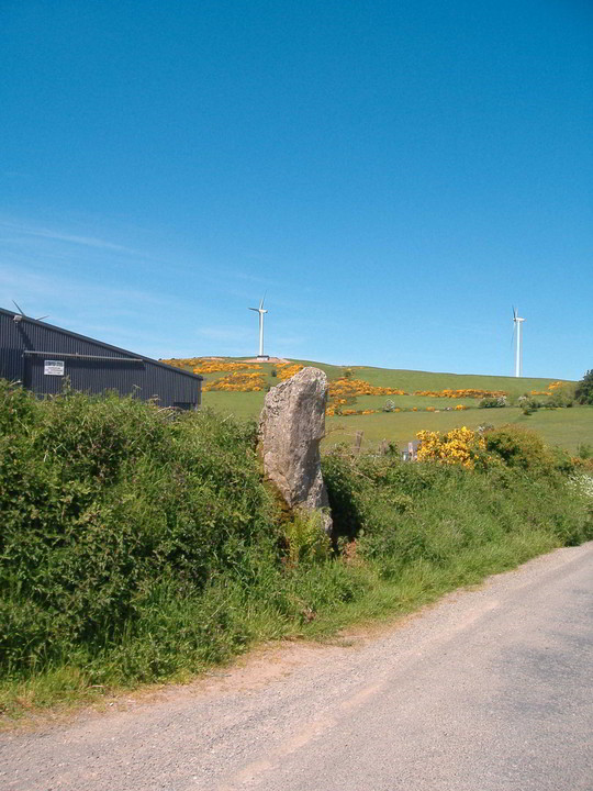Ballynaglough Standing Stones · Standing Stone