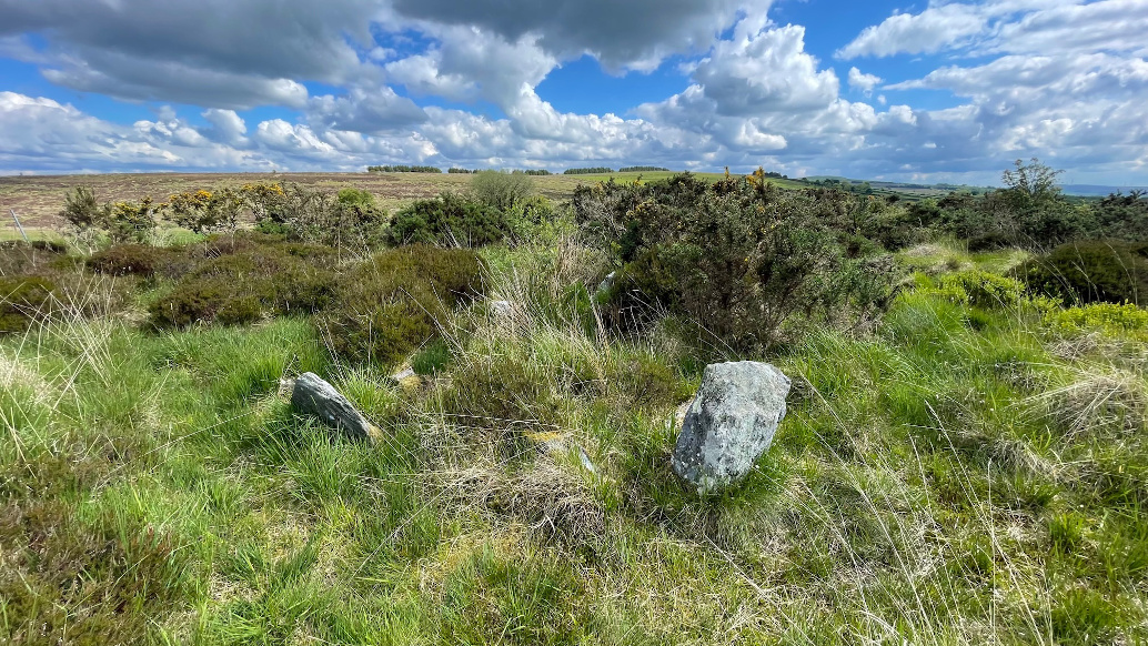 Ballygroll Prehistoric Landscape · Structure