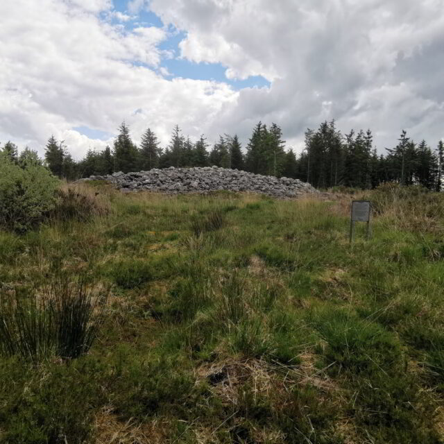 Skeagh Ring Barrow and Cairn · Cairn