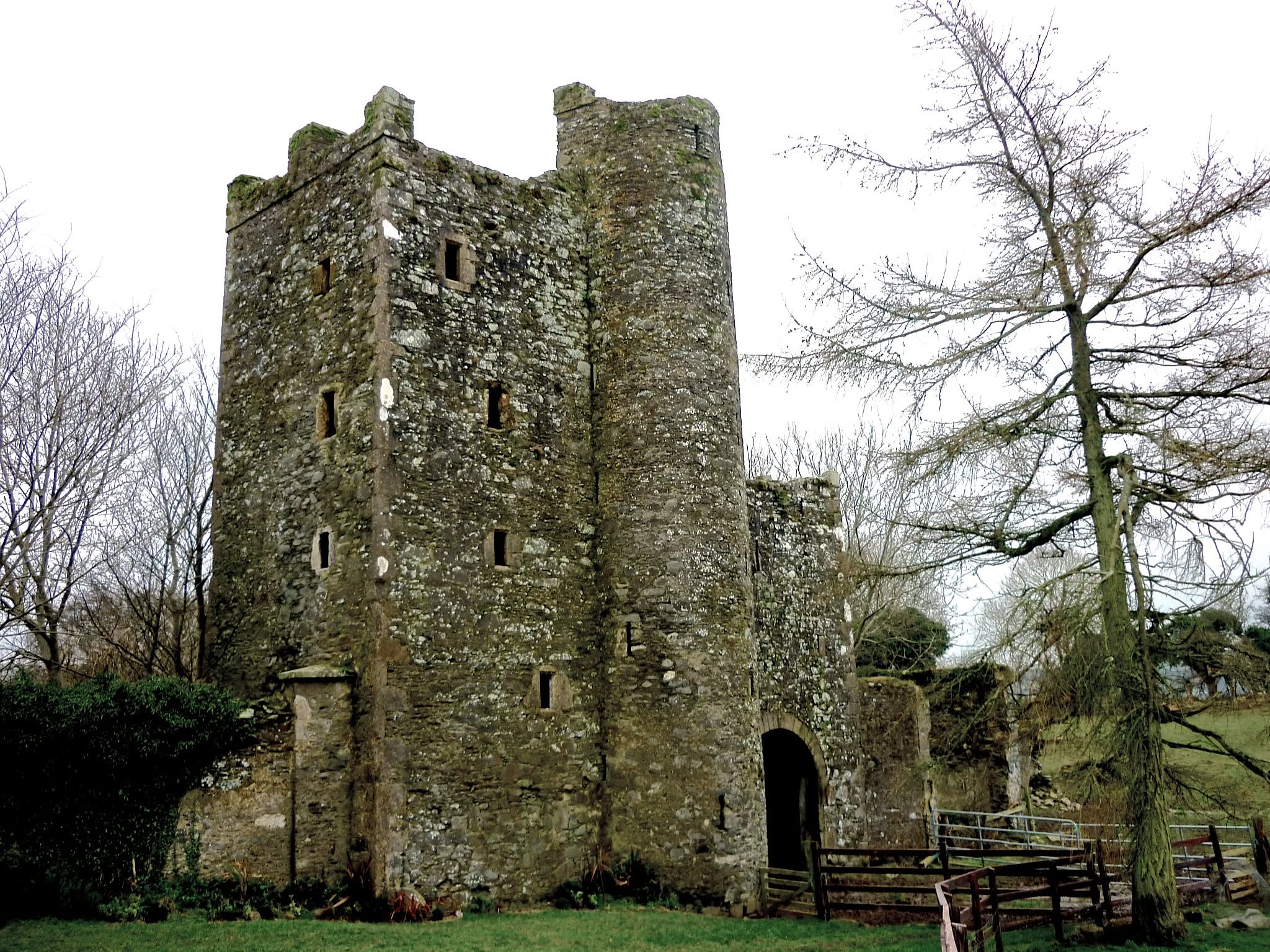 Kilteel Castle · Castle