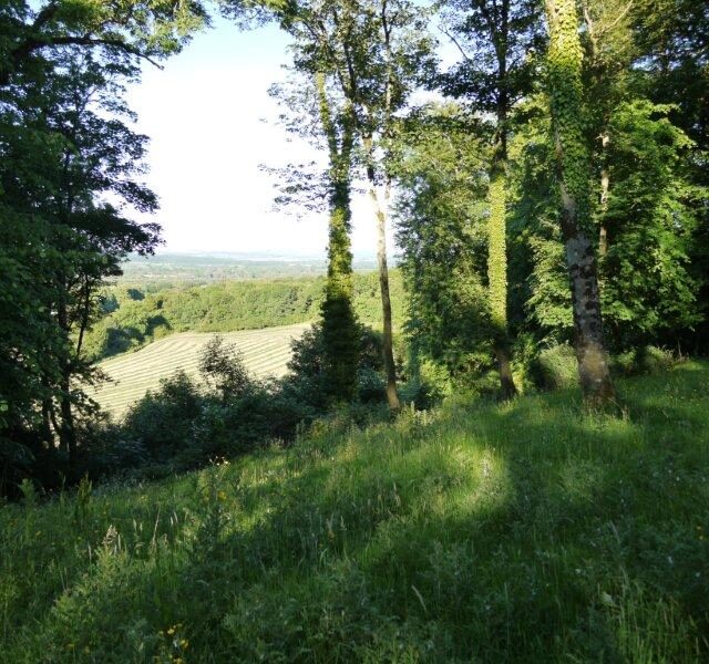 Rathealy Ringfort · Ringfort