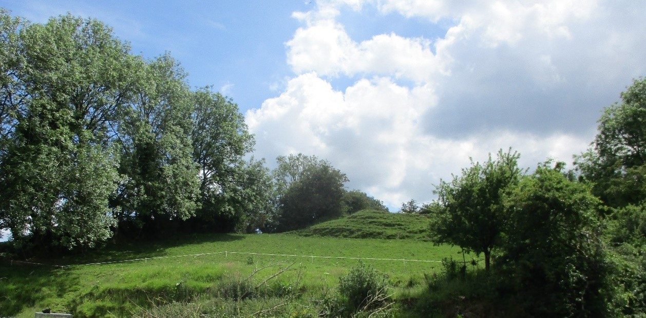 Donard Motte · Castle   Motte