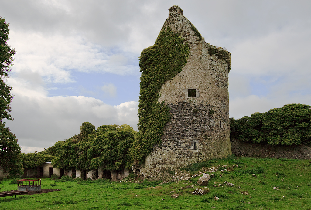 Moorstown Castle · Castle   Tower House