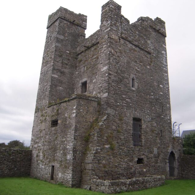Termonfeckin Tower House · Castle