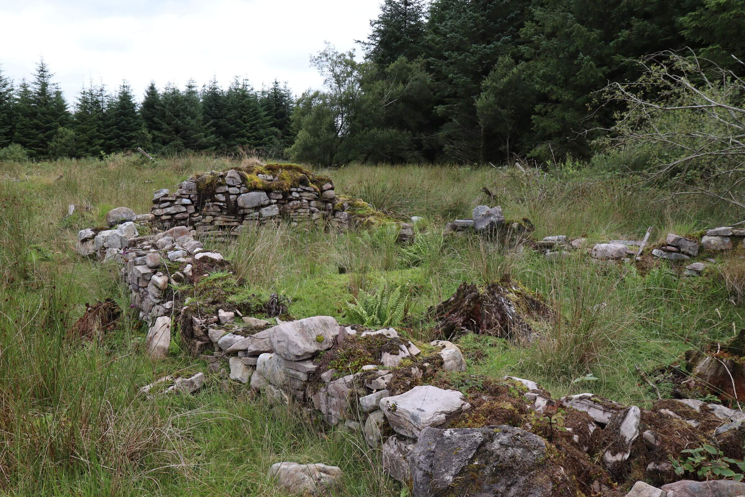 Gleann na gCoillte · Glennaheltia
