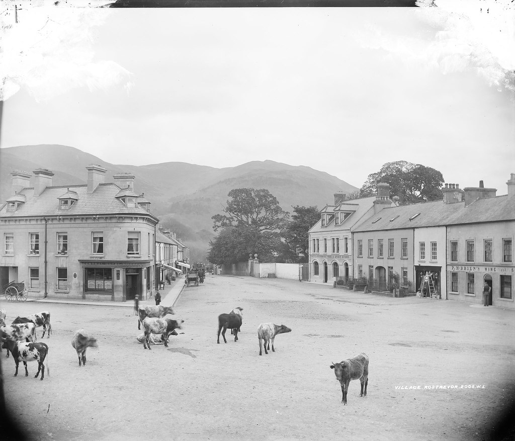 Ros Treabhair · Rostrevor