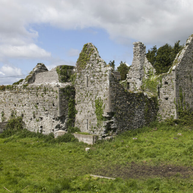 Lorrha Augustinian Priory · Religious House