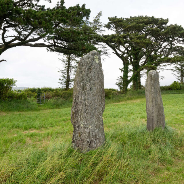 Coolcoulaghta Standing Stones · Standing Stone