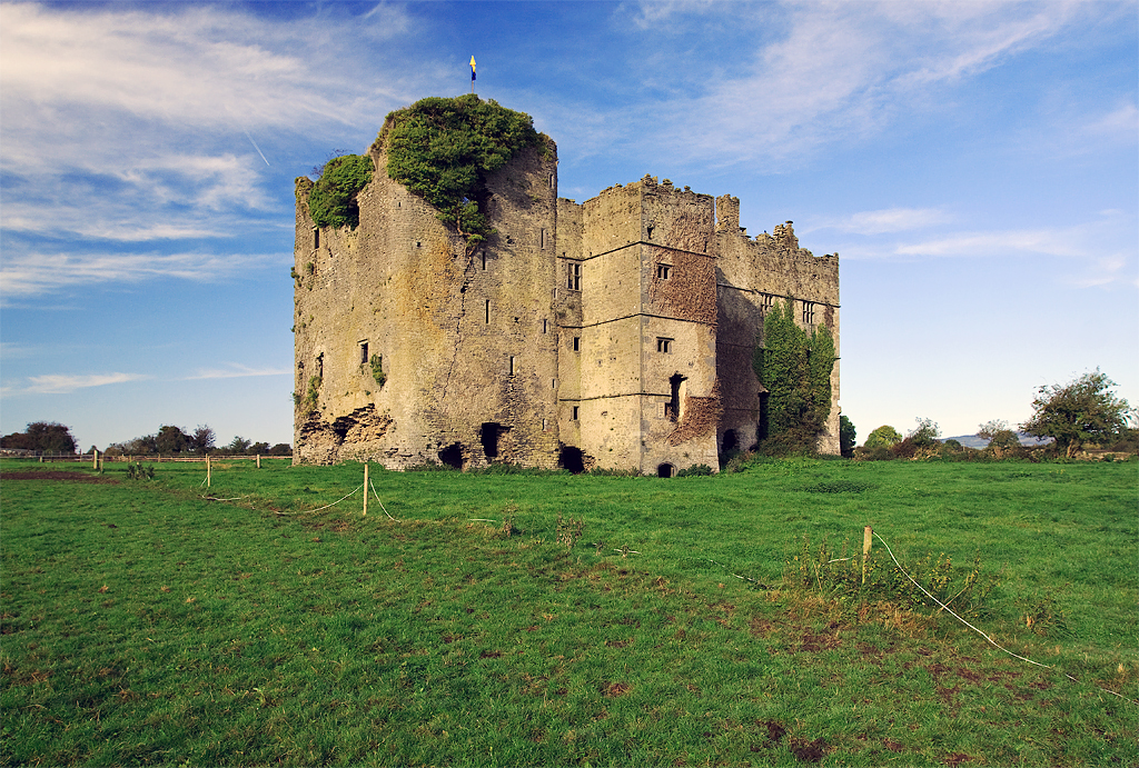 Loughmoe Castle · Castle