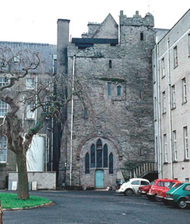 Tallaght Castle · Castle