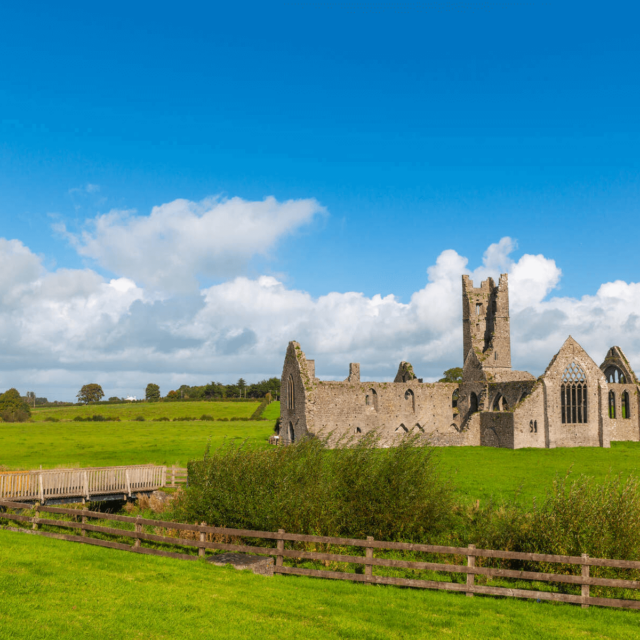 Kilmallock Dominican Priory · Religious House